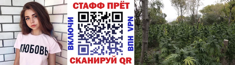 Где найти наркотики Кущёвская Канабис  Галлюциногенные грибы  Гашиш  КОКАИН  АМФЕТАМИН 